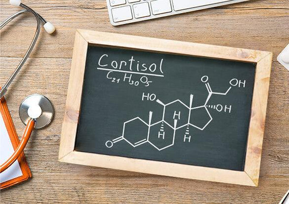 All you need to know about the stress hormones