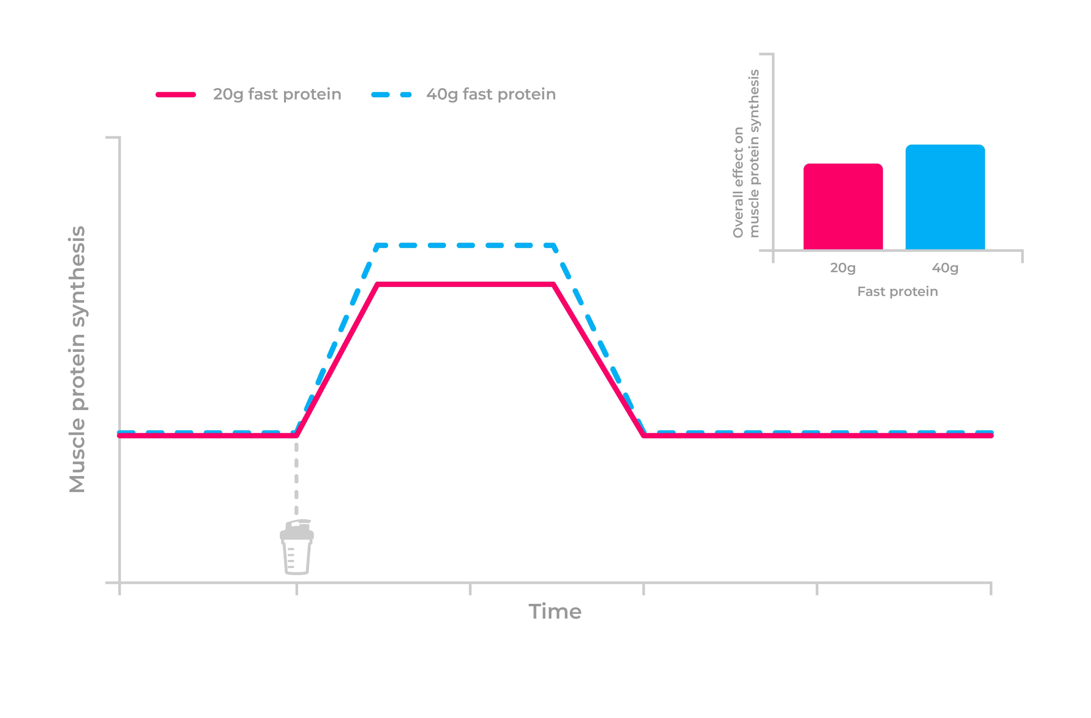 Graph to show relationship between amount of protein consumed and effect on muscle protein synthesis. 