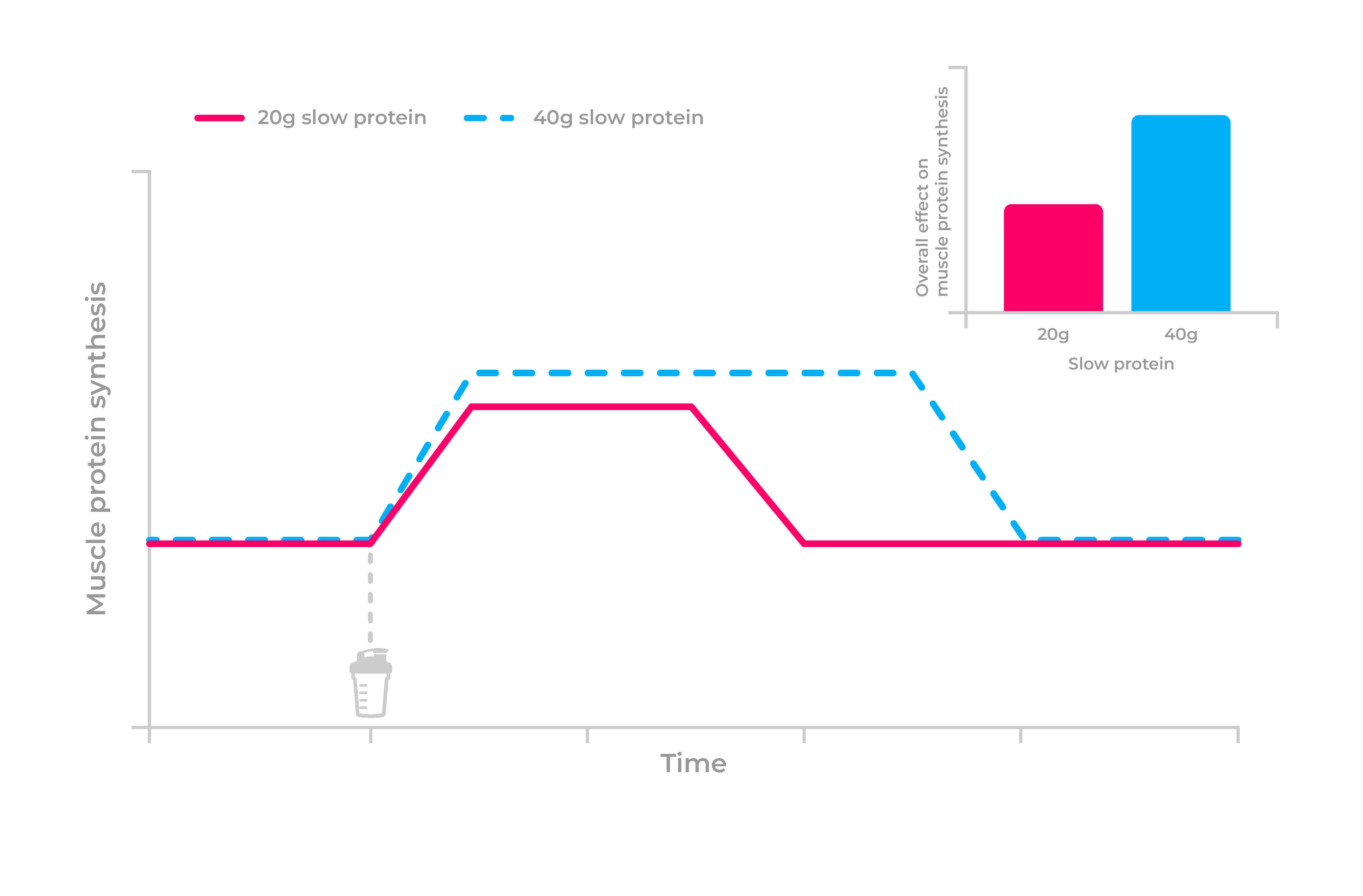 Graph to show the effect of slow-digesting proteins on muscle protein synthesis over time