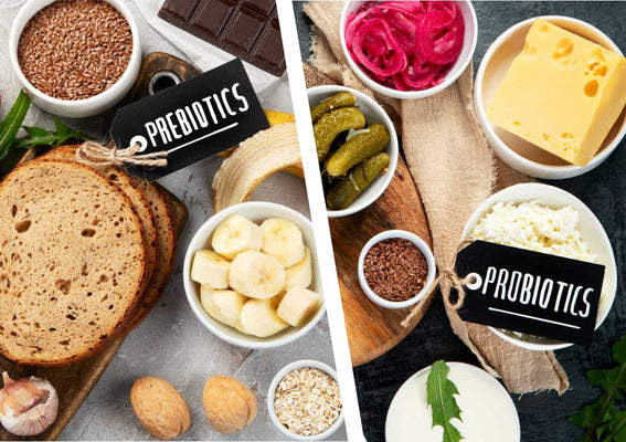 Prebiotics vs probiotics - what's the difference?